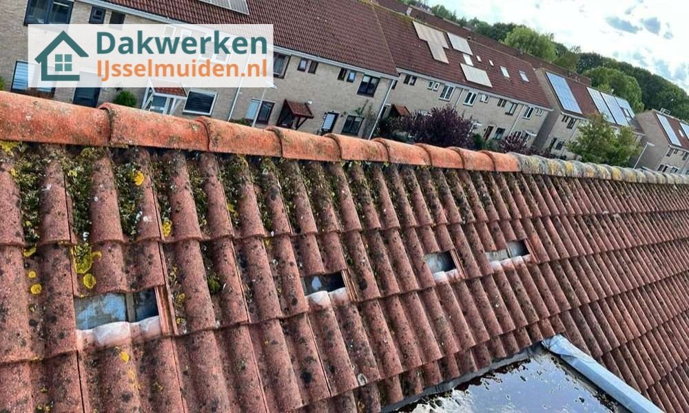 Een dakrenovatie bij oud pannendak Een dakrenovatie bij oud pannendak in IJsselmuiden